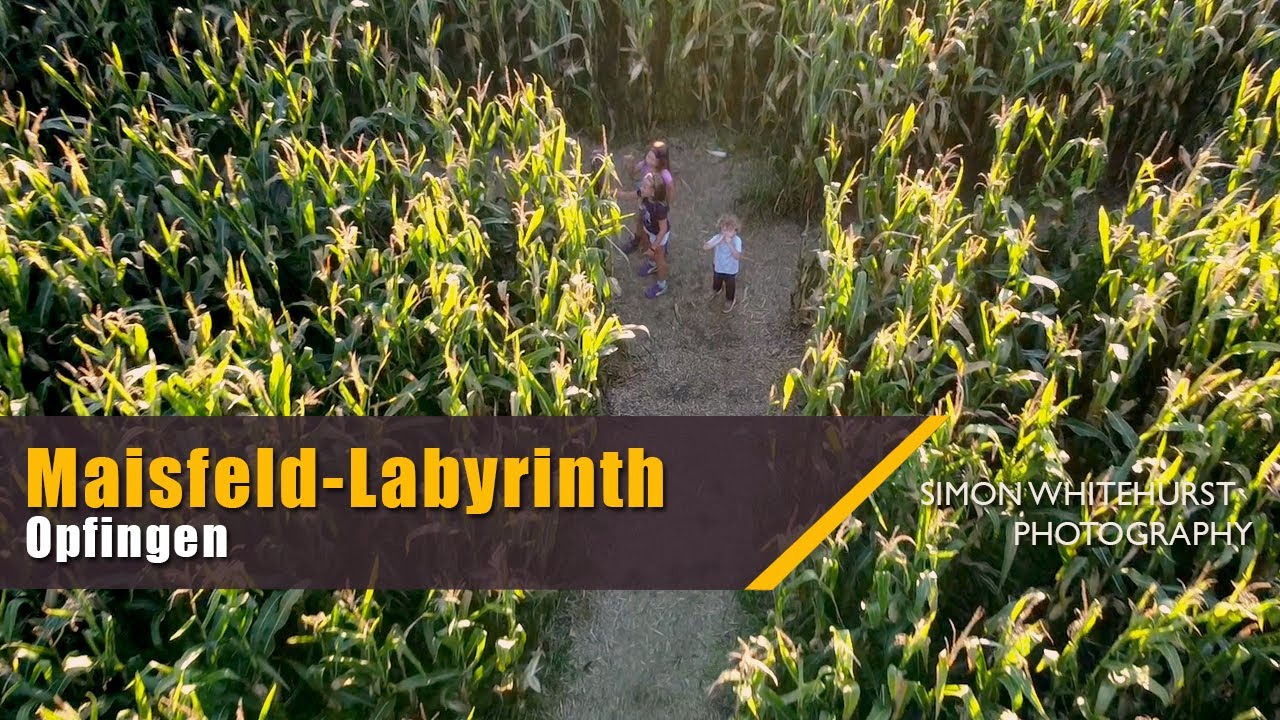 Getting Lost in the Maisfeld-Labyrinth | Maize Field Lybarinth | Opfingen