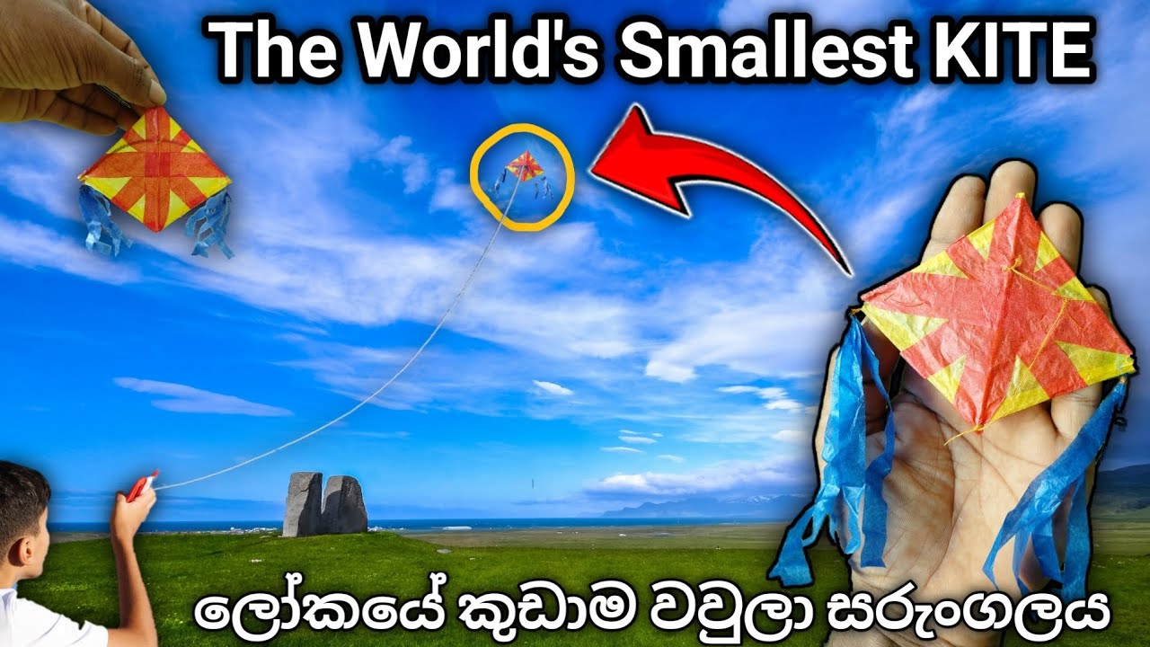 The world's SMALLEST Bat kite 🪁ලෝකයේ කුඩාම වවුලා සරුංගලය #1million #viral #kite #sarungal #සරුංගල් 