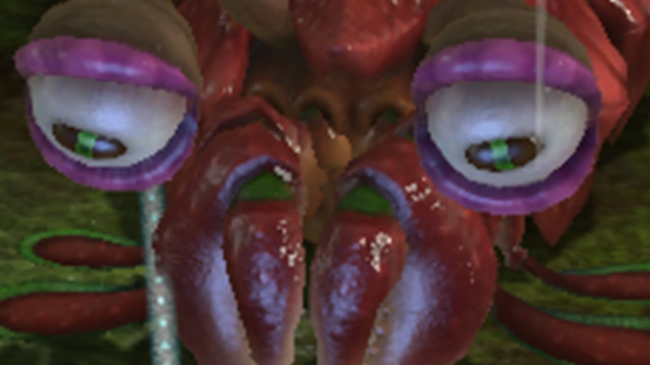 Pikmin 3 DX Custom Mission Mode - The Mystic Marsh by TongWah