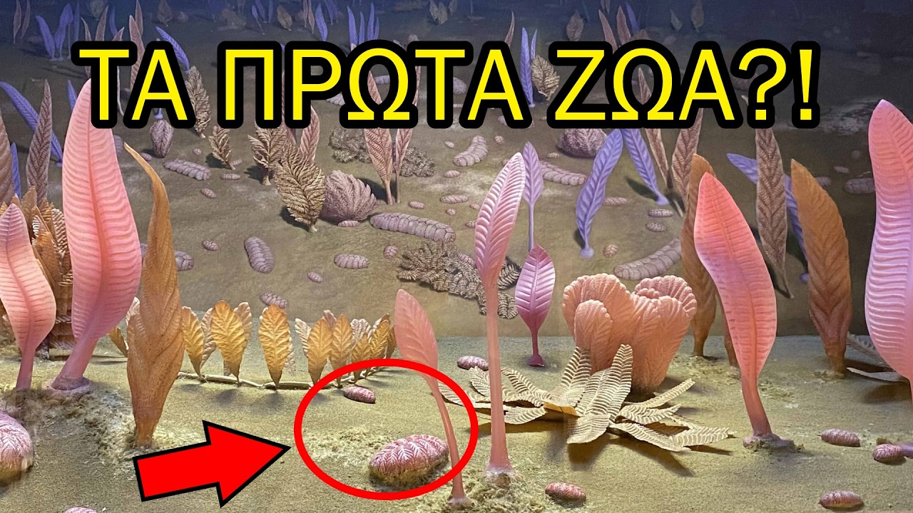 Από τα Κύτταρα στα Πρώτα Ζώα | Η Πλήρης Ιστορία της Ζωής: Ο Προτεροζωικός Μεγα-αιώνας