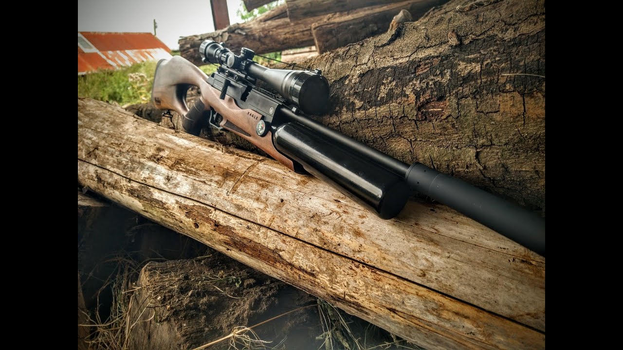 Webley Eagle .22 review-Big Dan's Airguns
