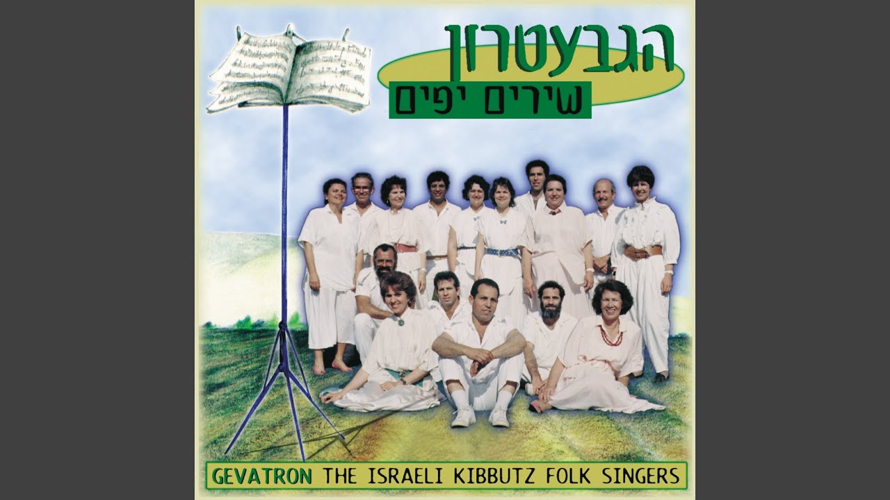 עין גדי