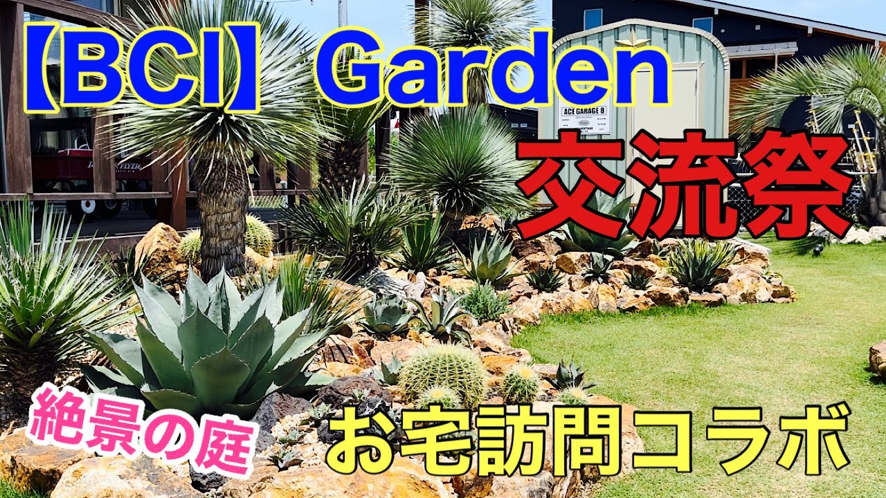 【交流祭】雑誌にも載っちゃう素敵なお庭！BCI Gardenさんお宅訪問！