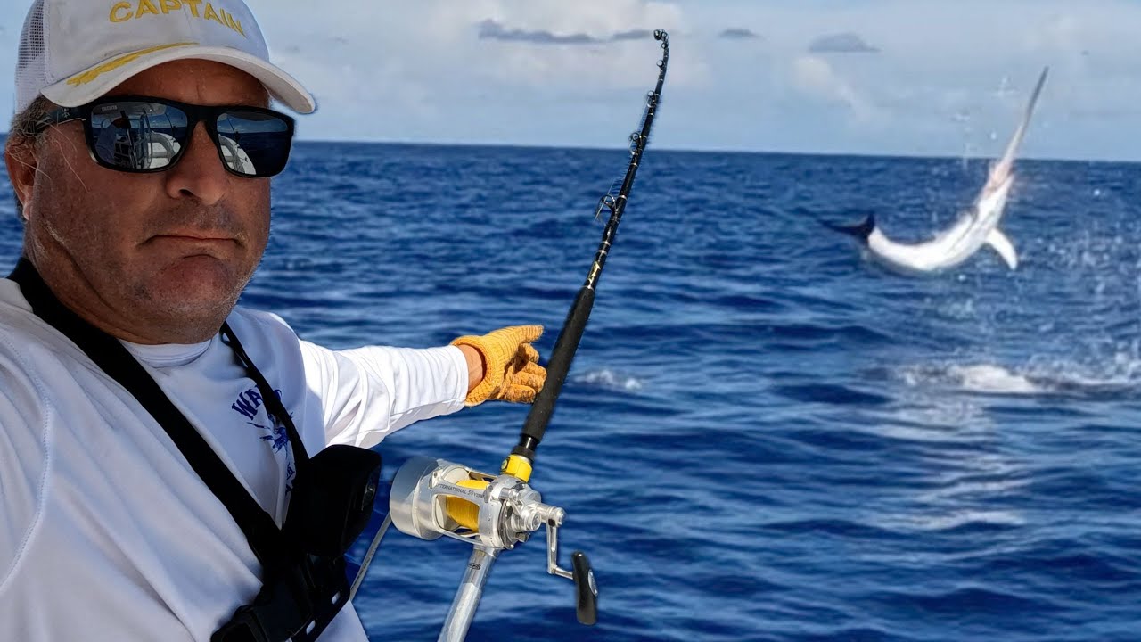 Huge Daytime Swordfish Caught Solo! Catch Clean and Cook!