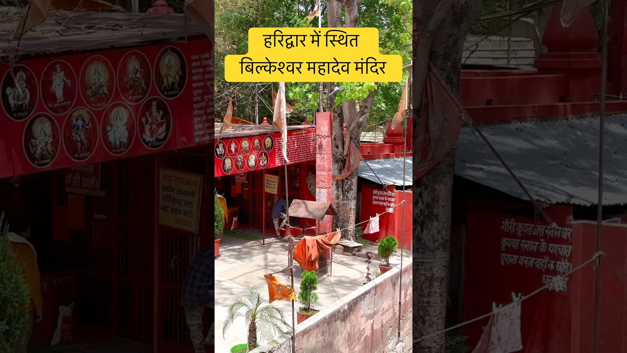 हरिद्वार में स्थित बिल्केश्वर महादेव मंदिर | bilkeshwar mahadev mandir | haridwar temple #short