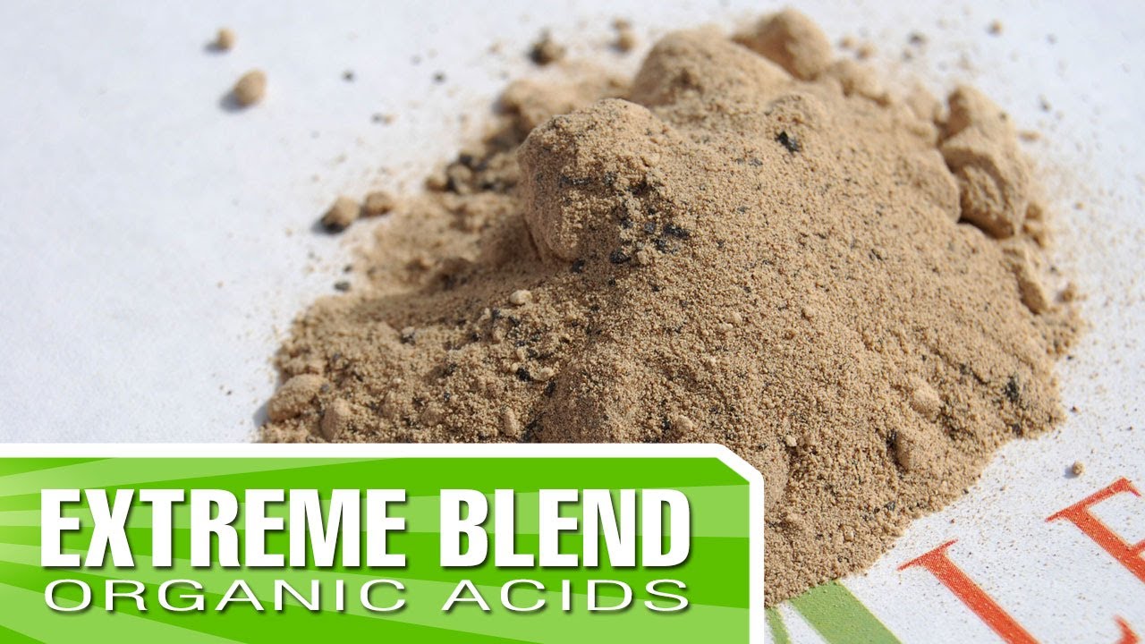 How to mix Extreme Blend with www.Kelp4less.com