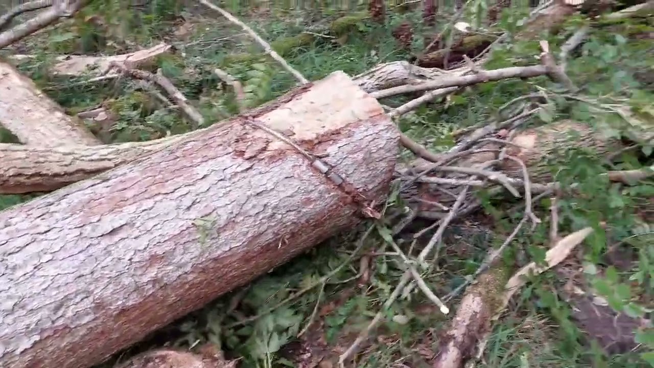 Holzrücken mit Hannes #Teil 1 Tipps und Tricks zum Holzrücken für Anfänger und Fortgeschrittene
