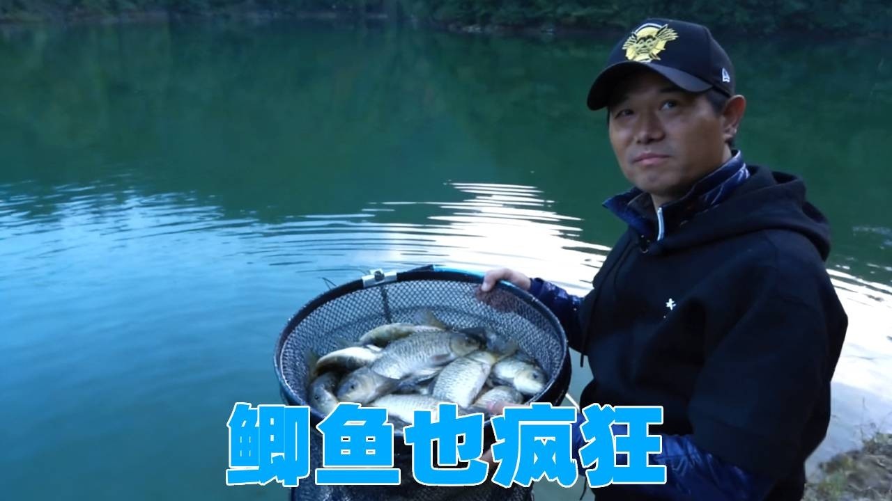 浙江淳安县山体水库，鲫鱼也疯狂，一条一条让人应接不暇！ #钓鱼  #钓鱼技巧