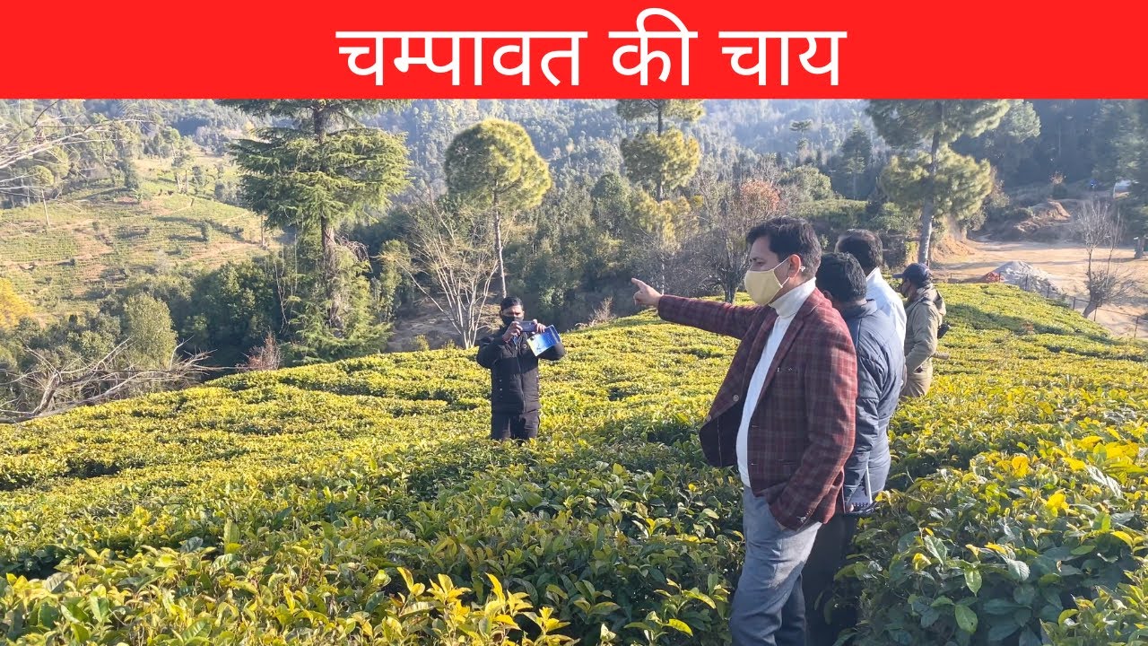 टेंशन बाय - बाय