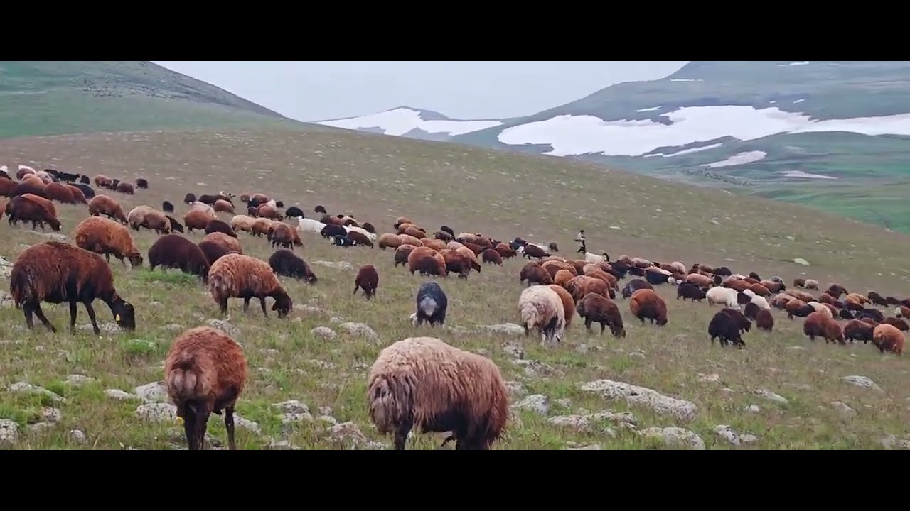 AYNI GÜN İÇİNDE DÖRT MEVSİM YAŞADIK.