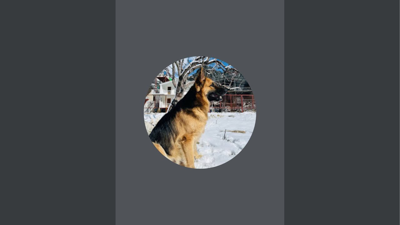 Happy Tail Moments is live
