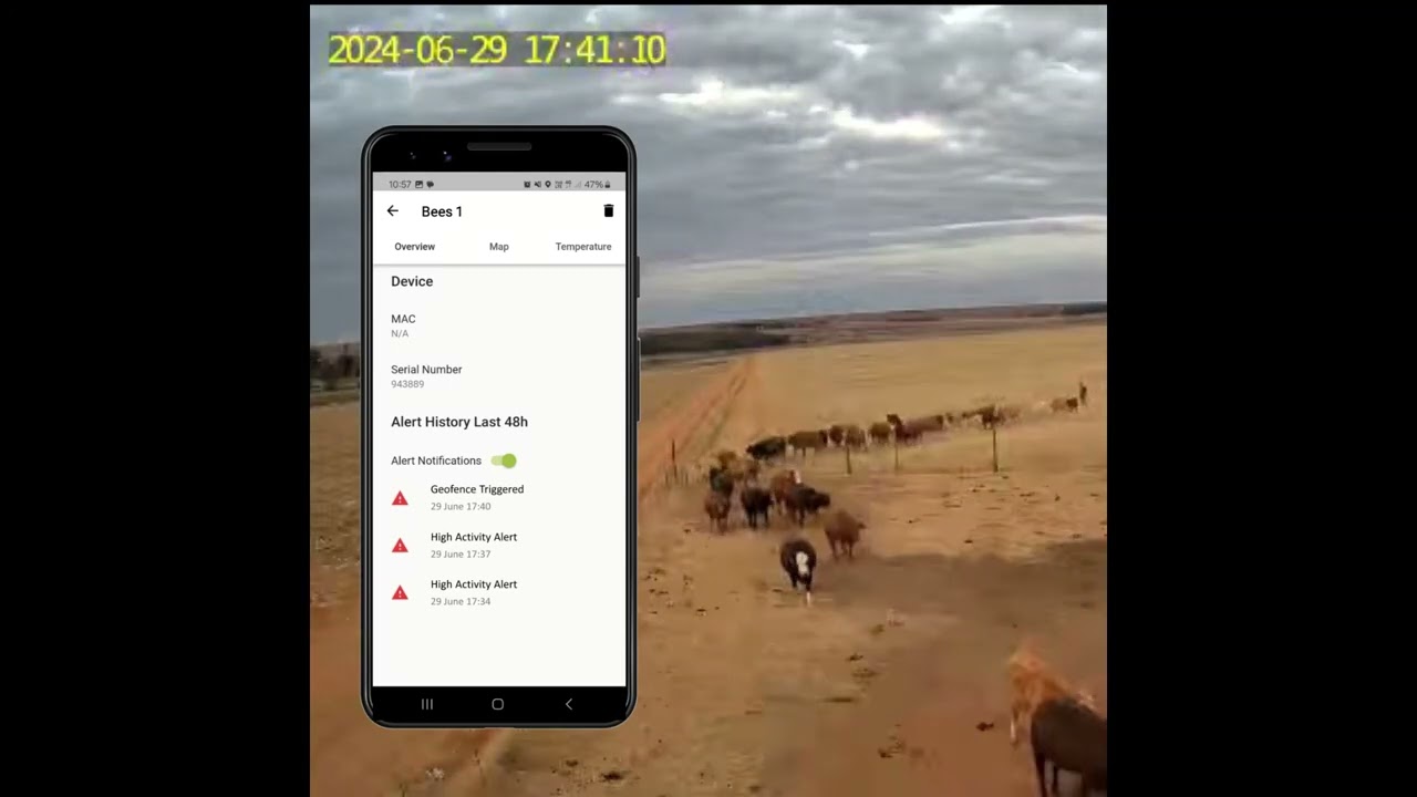 Real-Time Cattle Tracking with Grazertrack: High Activity Alert and Geofence Crossing