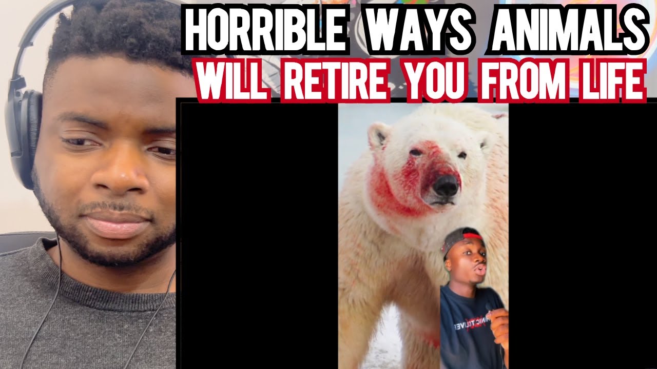 Brit Reacts To 10 HORRIBLE WAYS ANIMALS CAN RETIRE YOU FROM LIFE!