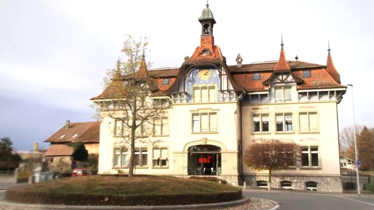 2011 - Business School Lausanne presentation