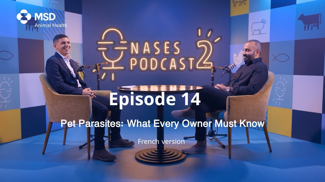 NASES PODCAST 2 EP14   Franch 