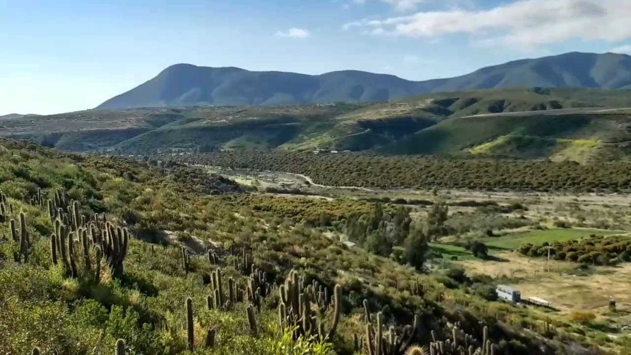 Quilimari