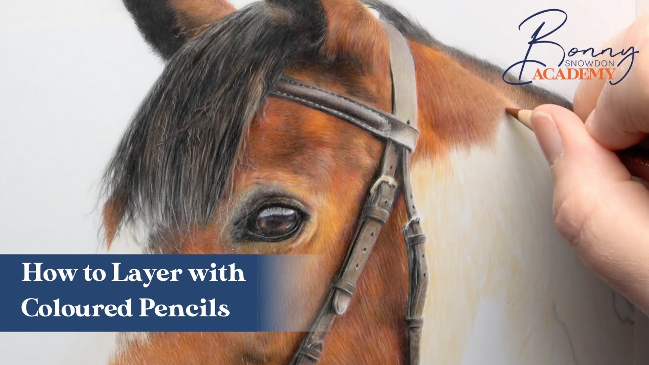 How to Layer with Coloured Pencils | Coloured Pencil Techniques