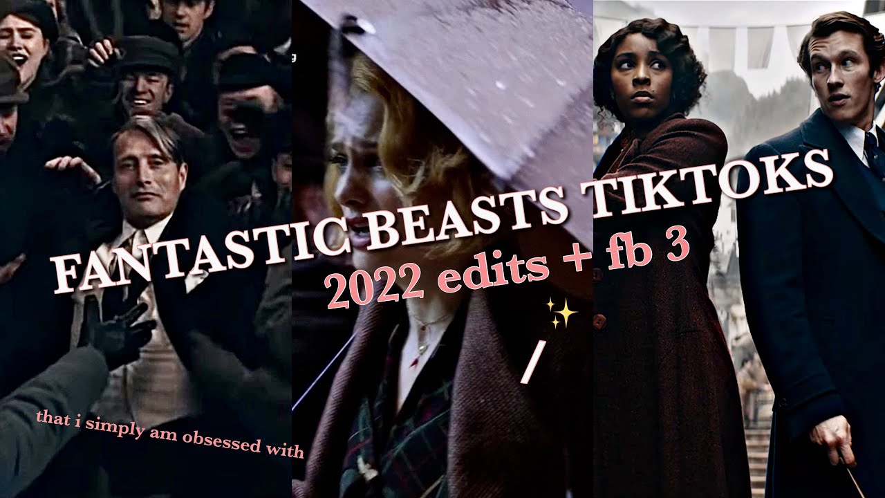 fantastic beasts tiktok edits I'm obsessed with (+secrets of dumbledore)