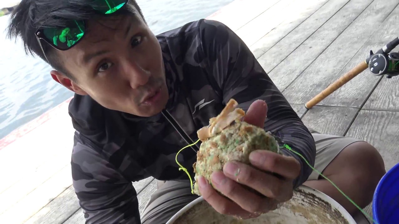 ซับไทย Mekong giant catfish rig for under B5000 and how to mix bread bait