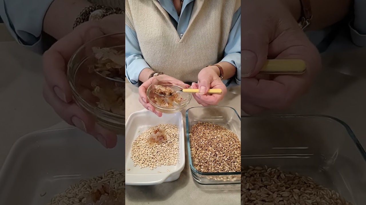 Orzo o Farro