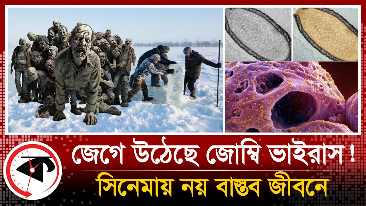 ৫০ হাজার বছর পর ঘুম ভাঙলো সত্যিকারের জোম্বি ভাইরাসের | Zombie Virus | Siberia | Kalbela