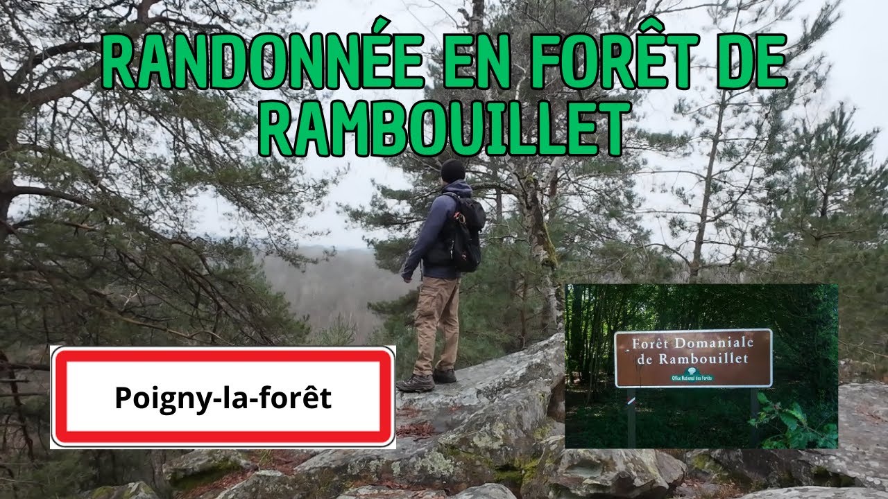 La for&ecirc;t de Rambouillet, un bel endroit pour randonner ? (Poigny-la-for&ecirc;t)