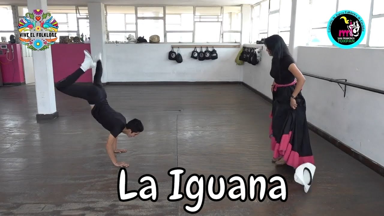 Clase y pasos de la Iguana, Son Jarocho Tradicional
