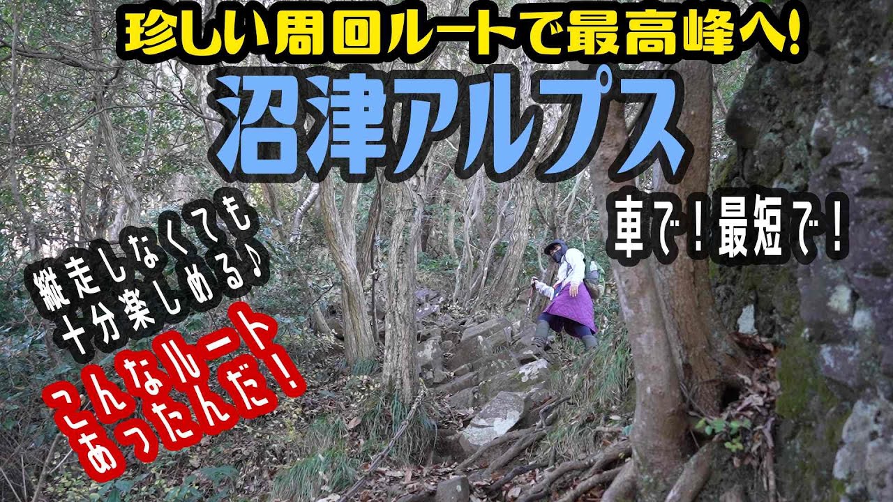 【登山】地獄の低山？沼津アルプス！御前帰～鷲頭山✨セクションハイクしたのは五十肩だから？2024.1.8