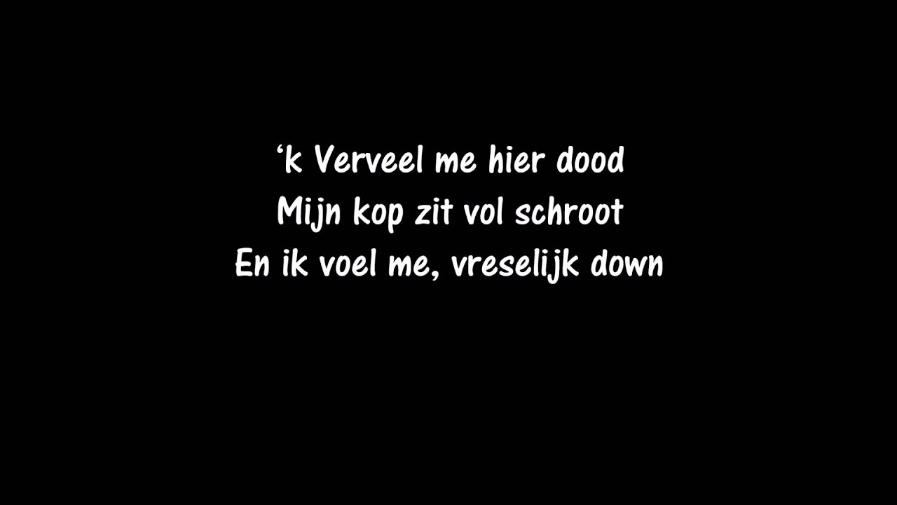 Willy Sommers  - Als een leeuw in een kooi (songtekst)