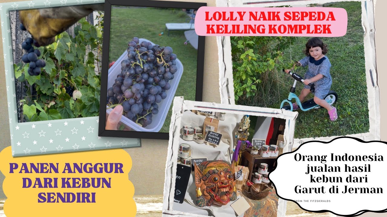 BELI BATIK DI ACARA ORANG JERMAN 🇩🇪 | LOLLY BELAJAR NAIK SEPEDA | PANEN ANGGUR DI RUMAH