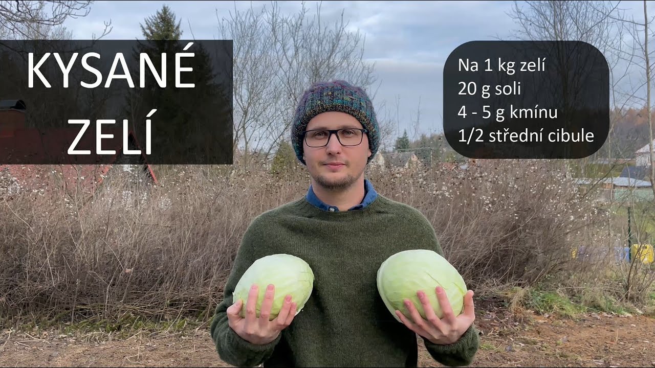 Kysan&eacute; zel&iacute; | Rychl&yacute; recept
