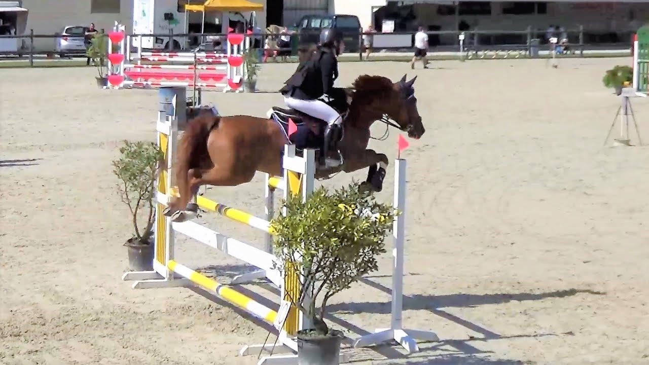 ■ 25/07/2021 - TDA de Brienne-le-Chateau - ASP2 GP - Bazus de Kervalennou - CSO - Clara Maitre