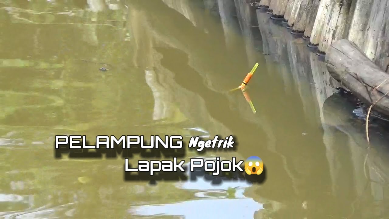 Mancing lele harian - Pelampung ngetrik lapak pojok #mancingleleharian #pelampungngetrikikanlele