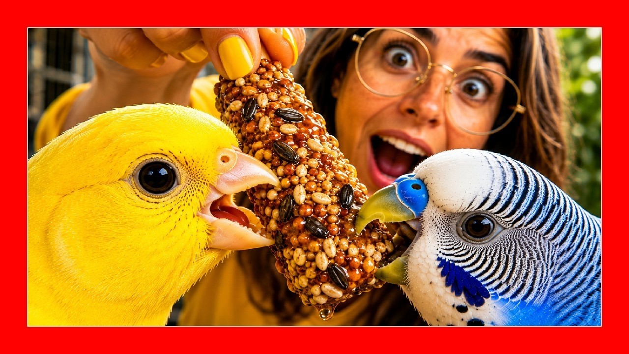 Как сделать домашние медовые прутья для канареек и птиц 🐤