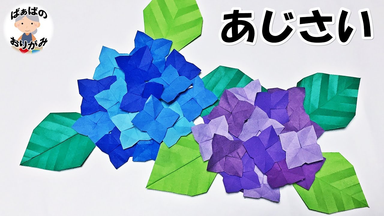 【折り紙】あじさいの花と葉の折り方　簡単！【音声解説あり】Origami Hydrangea 6月梅雨シリーズ#4 / ばぁばの折り紙