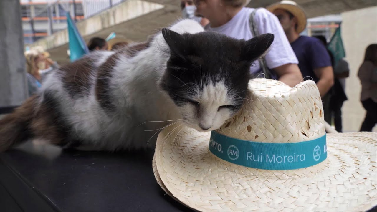 Aqui Há Alegria
