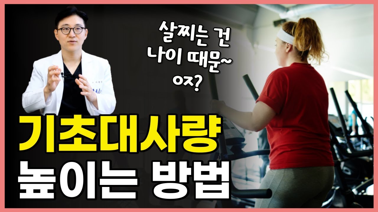기초대사량 높이는 방법 2가지! 효율적 살빼기