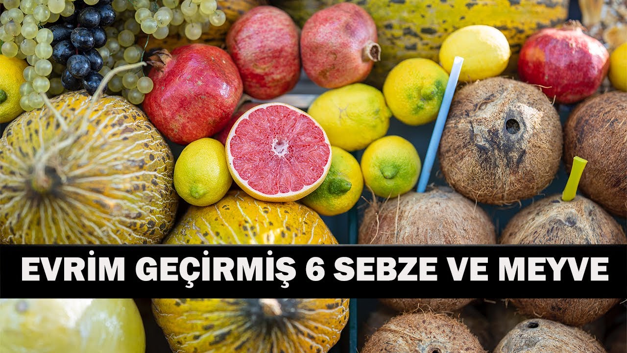 EVRİM GE&Ccedil;İRMİŞ 6 SEBZE VE MEYVE!