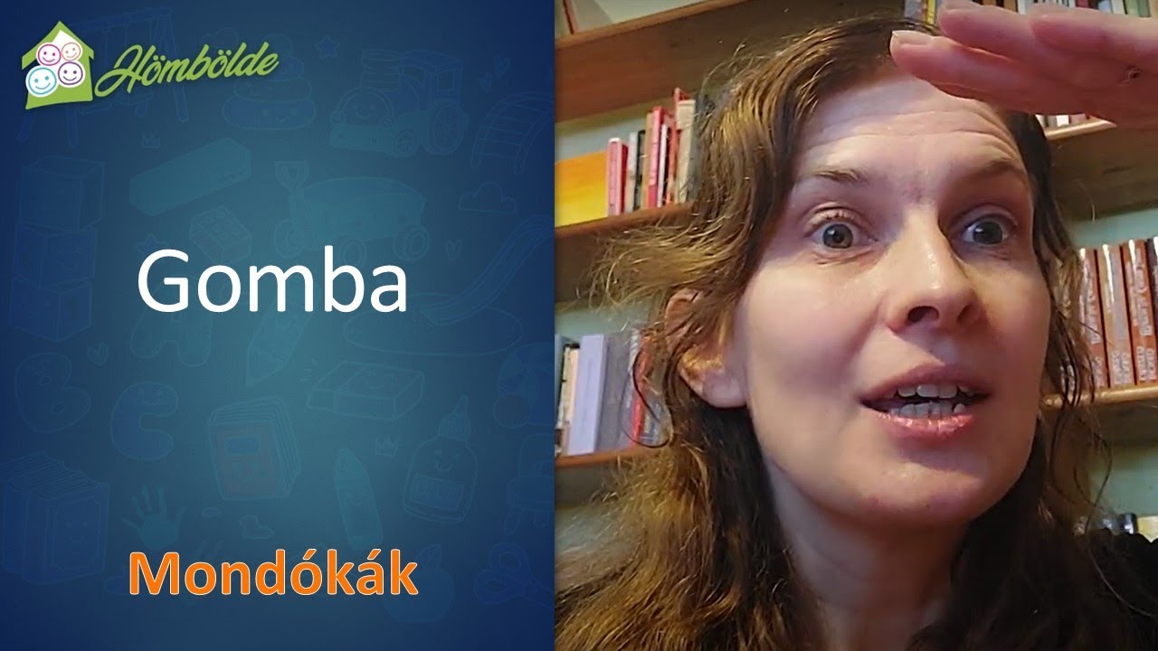 Czofy  gomba mondóka