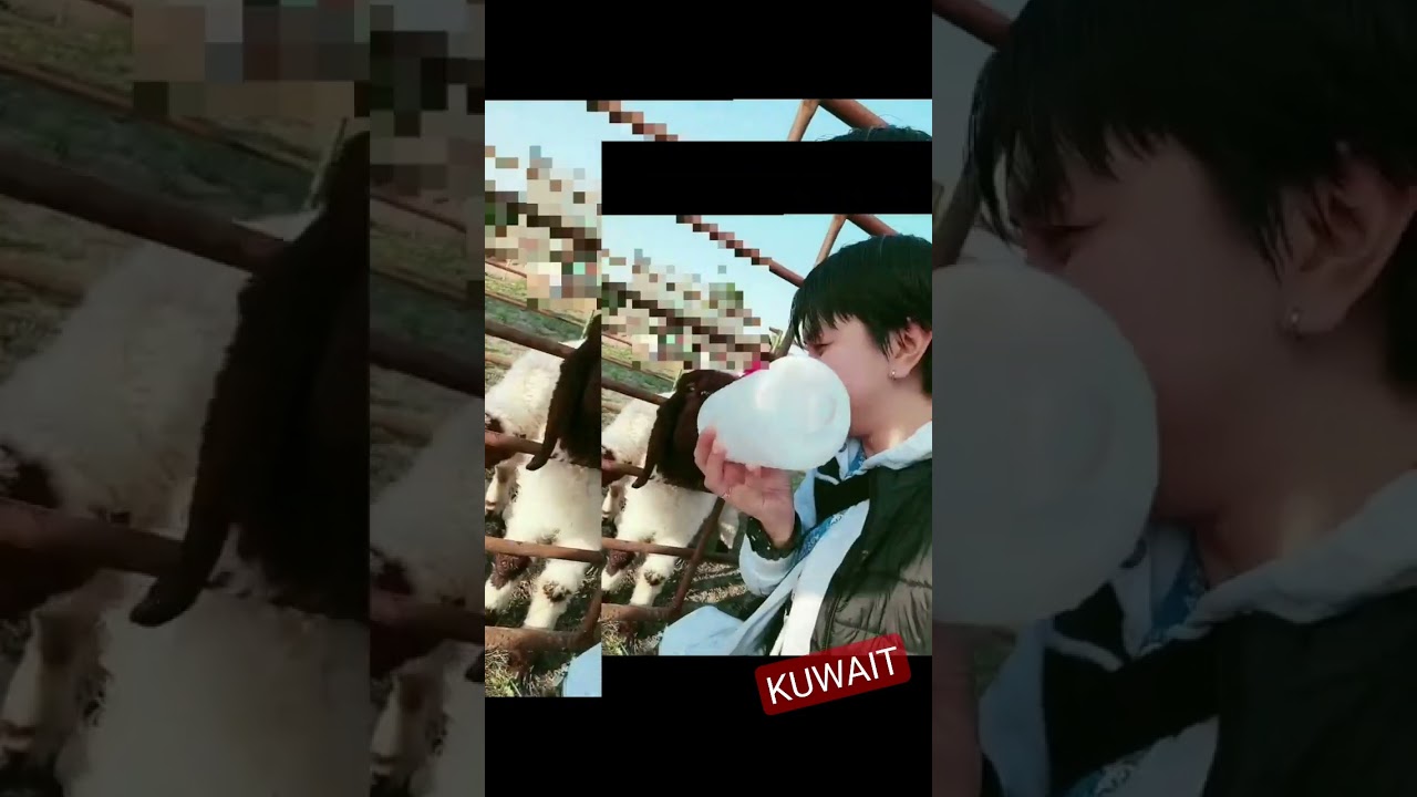Kuwait farm #ofwlife #ofwkuwait #ofw #kuwait #farm #shortsvideo #shortvideo #buhayofwkuwait