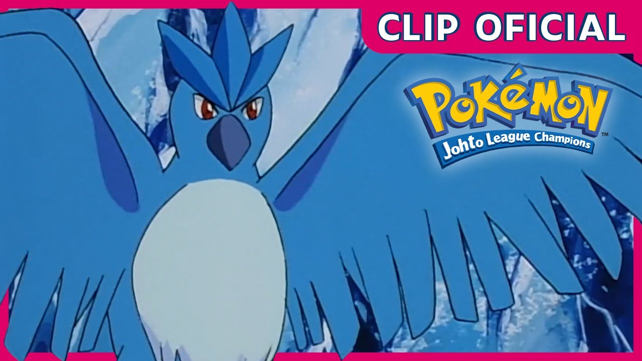 ¡Articuno al rescate! | Pokémon Los campeones de la Liga de Johto | Clip oficial