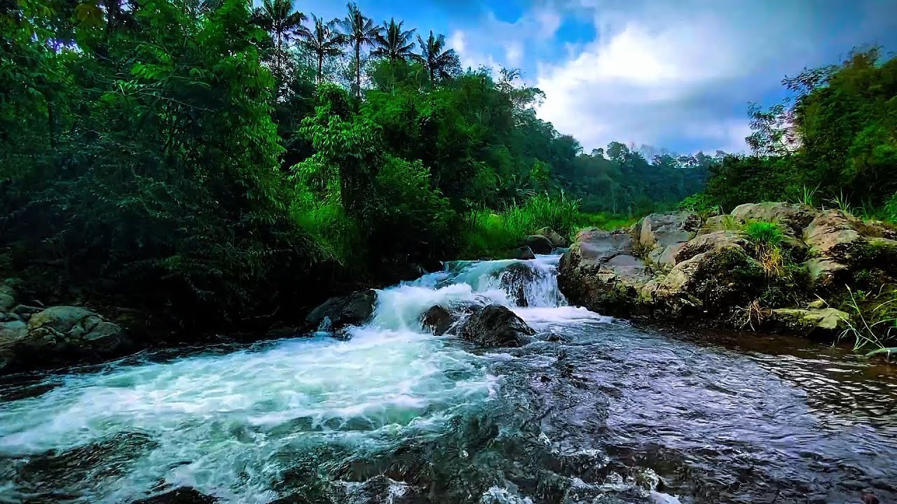 Gentle Stream Ambience Soothing Flowing Water For Relaxation