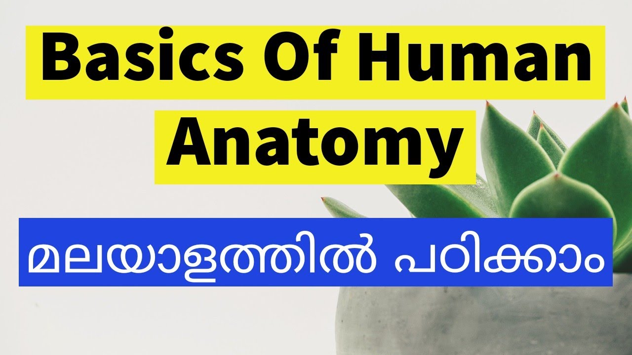Basics of Human Anatomy in Malayalam #thenursemalayalam #kpscdme