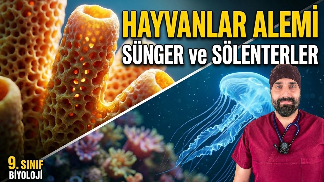 13. Ders: Sünger ve Sölenterler | Dr. Biyoloji 9. Sınıf Yeni Müfredat