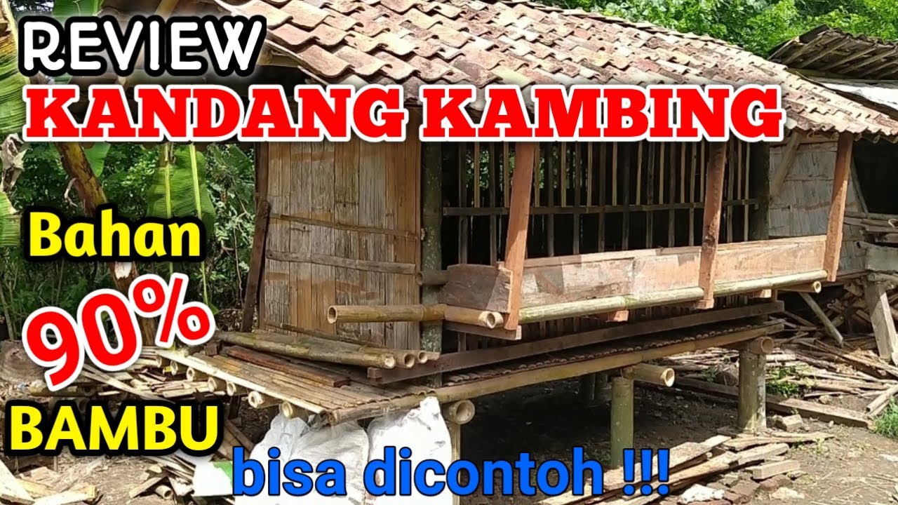 Kandang Kambing 90% bahan dari bambu (review)