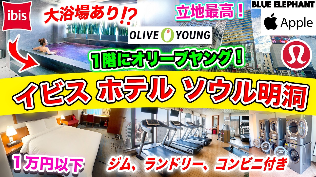 【韓国旅行2026】明洞でおすすめのホテルはここ！イビスアンバサダーソウル明洞宿泊記｜大浴場・立地・コスパを徹底レビュー【スタンダードダブル】