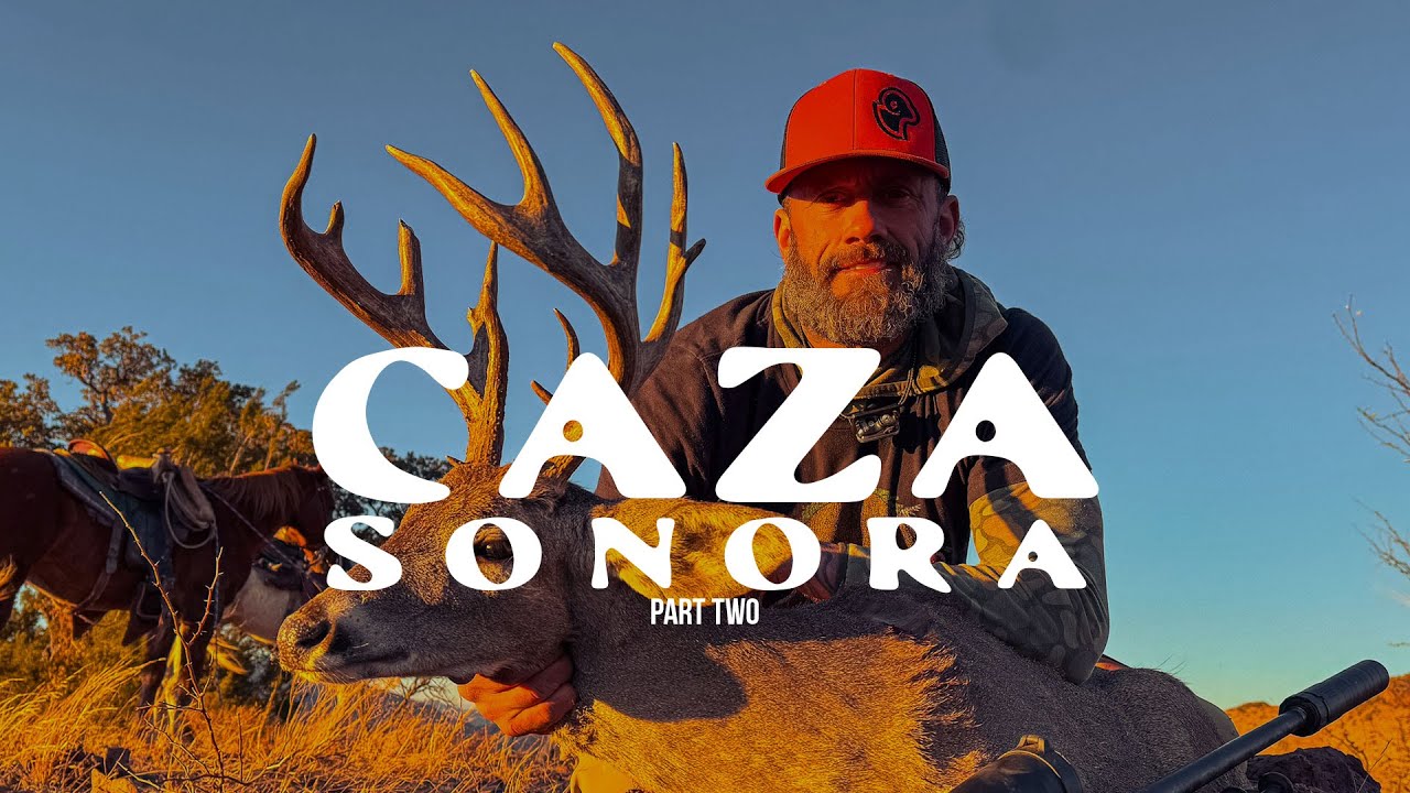Been hunting this buck for two years |  Caza Sonora - 2025 - Part 2/5