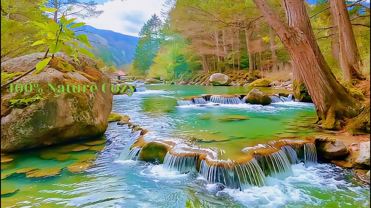 Instant Peace of Mind 🌿 Water Sounds & Relaxing Bird Singing, Anxiety Relief, Deep Sleep, Relaxation