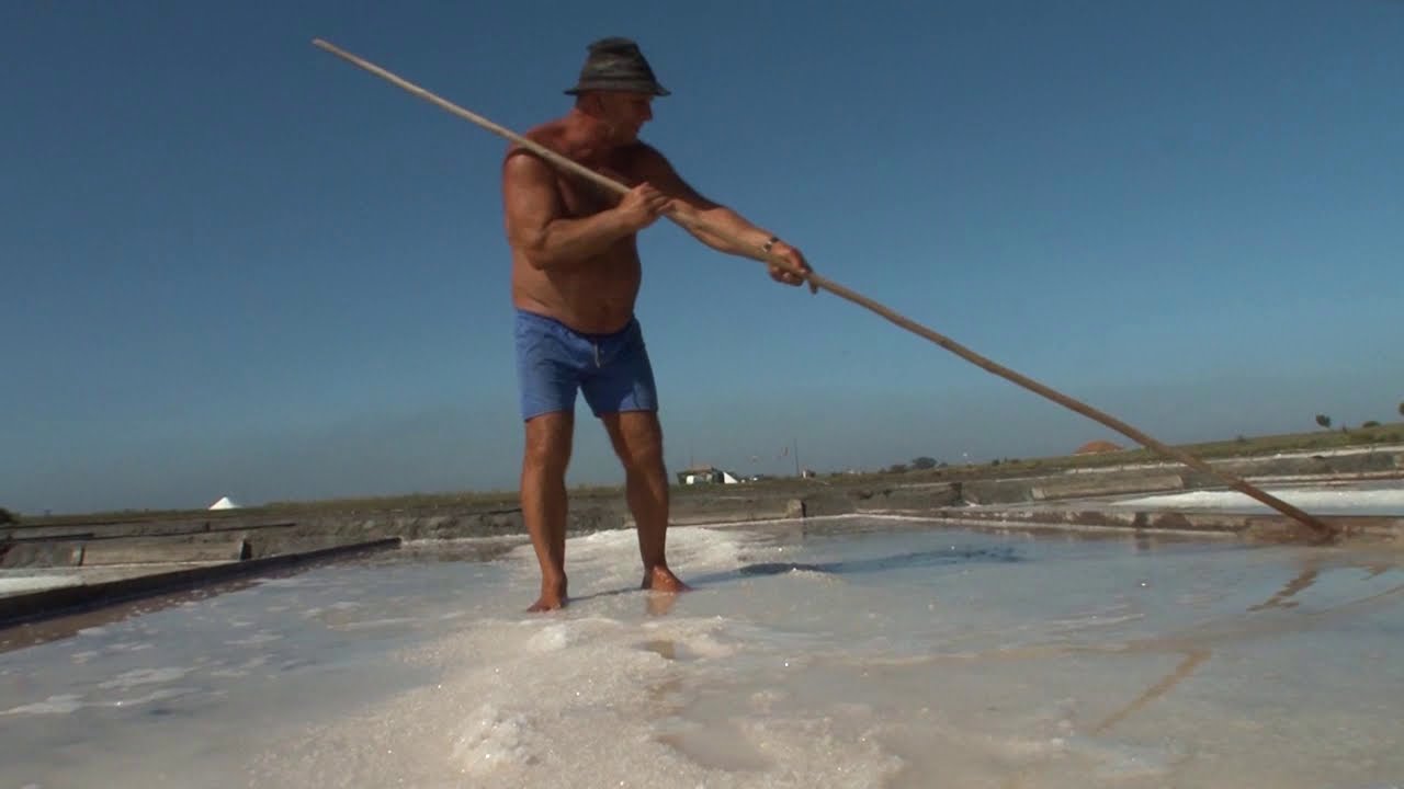 O Sal Aveiro