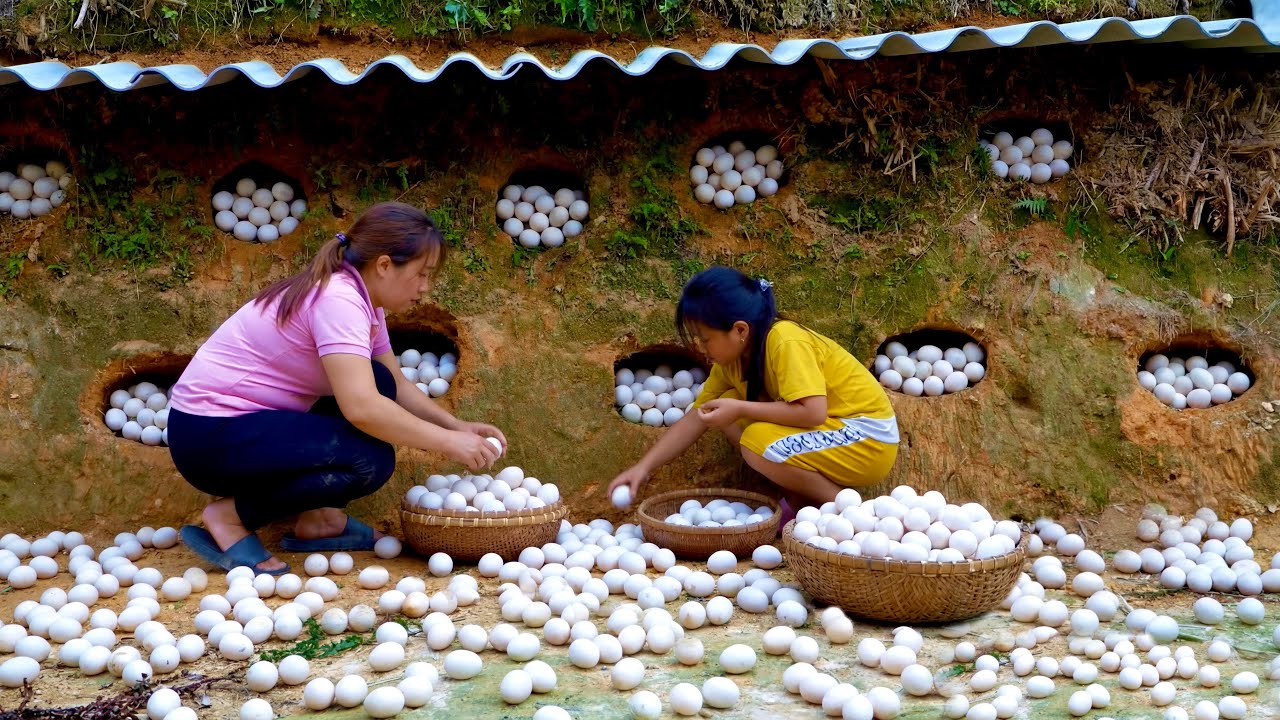 100 Days to Restore The Farm Together: Harvesting Lots Of Eggs And Taking Them to the Market To Sell